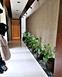 Kheam Hock Road (D11), Semi-Detached #506495961
